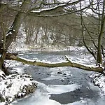 Eifelpension Brueckenschenke Bed & Breakfast Fuchshofen