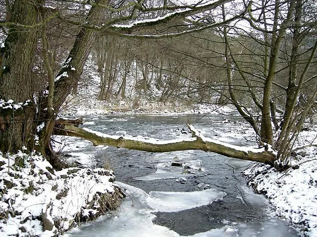 Eifelpension Brueckenschenke 住宿加早餐酒店 福斯霍芬