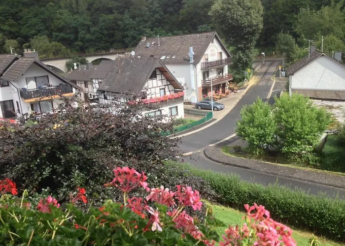 Eifelpension Brueckenschenke 3* 福斯霍芬
