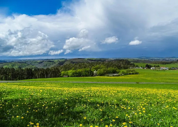 住宿加早餐酒店 Eifelpension Brueckenschenke
