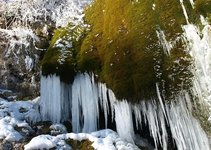 住宿加早餐酒店 Eifelpension Brueckenschenke 福斯霍芬